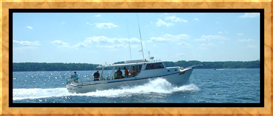 Chesapeake Bay Charter Fishing on the Worm