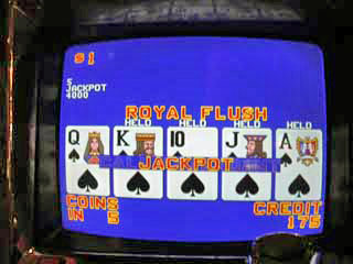 Sharon's first-ever Royal Flush on a Dollar VP machine