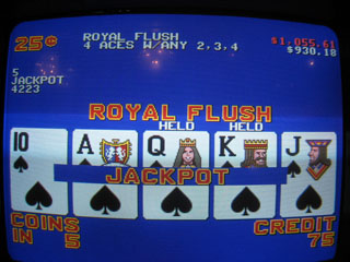 Shar's second royal, this one at the elevator progressive...